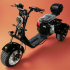 Электроскутер Citycoco Pro Trike 3000 VIP